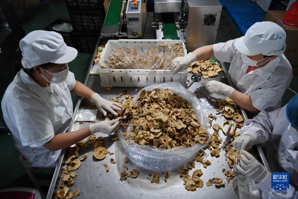 玖信娱乐地